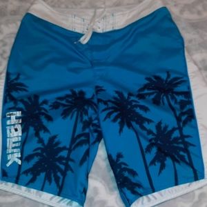 Mens Tony Hawk Board Shorts. Size 32.